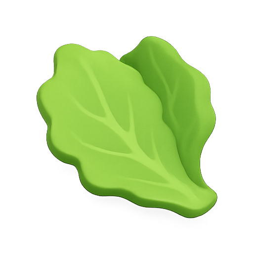 Lettuce, vegetable, nutrition icon