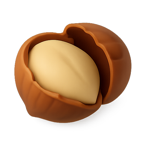 Nut, 3d, shell icon