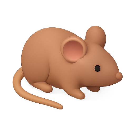 Mouse, 3d, animal icon