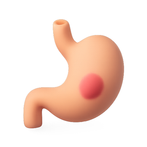 Stomach, organ, anatomy icon