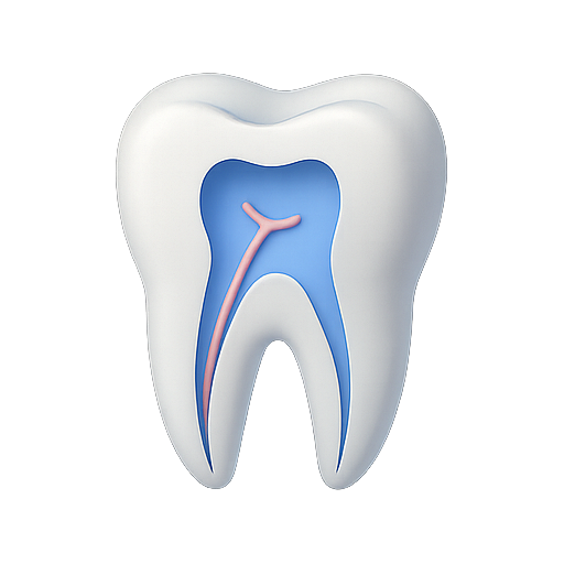 Tooth, dental, anatomy icon