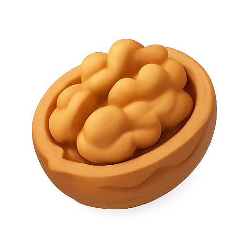 Walnut, 3d, material icon