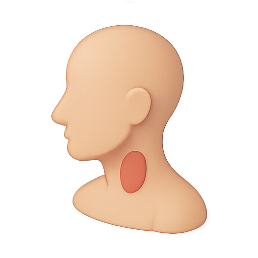 3d model, human figure, head icon