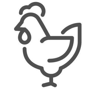 Agriculture, animal, bird icon