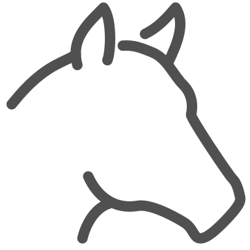 Animal, farm animal, foal icon