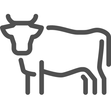 Agriculture, animal, beef icon