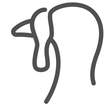 animal, beef, cuisine