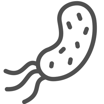 Bacteria, bio, germ icon