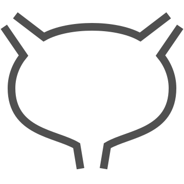 Anatomy, bladder, health icon