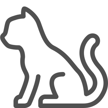 animal, cat, feline