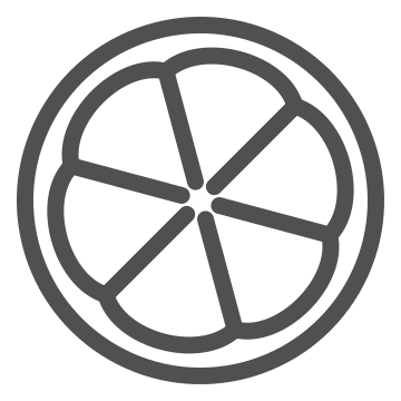 Citrus, fruit, round icon