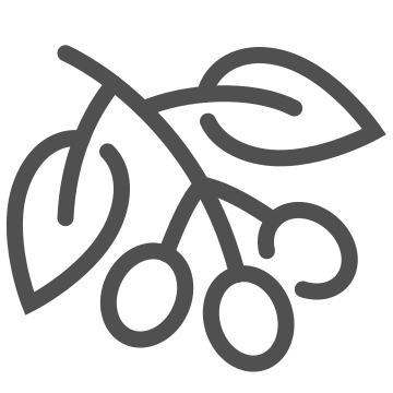 Aroma, beverage, cafe icon