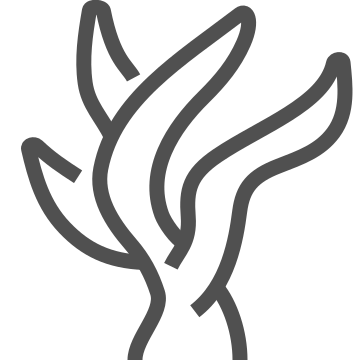 Cooking, cuisine, fish icon