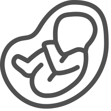 Baby, embryo, fetus icon