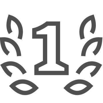 Champion, competition, first place icon