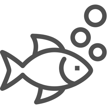 Animal, aquarium, aquatic icon