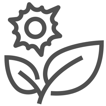 Bloom, botanical, flora icon
