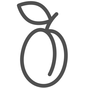 Food, fresh, fruit icon