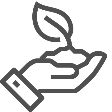 Care, gardening, growth icon