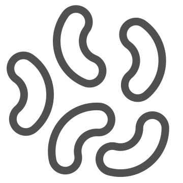 Bacteria, bio, disease icon