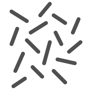 Antibacterial, bacteria, bacterial icon