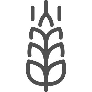 Agriculture, barley, cereal icon