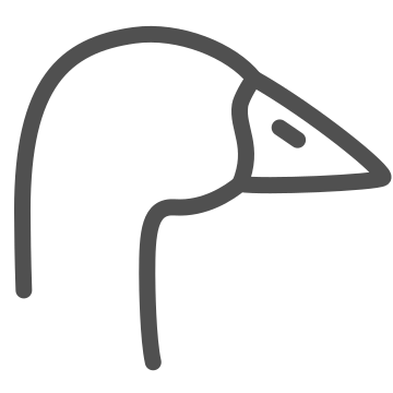 Agriculture, animal, bird icon