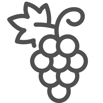 Agriculture, bunch, fruit icon
