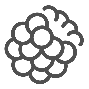 Agriculture, berry, bunch icon