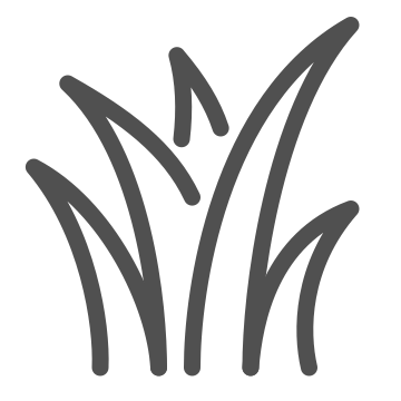 Flora, gardening, grass icon
