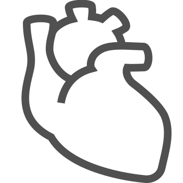 Anatomy, cardiology, health icon