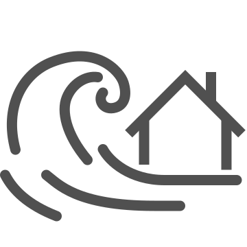 Home, water, flood icon