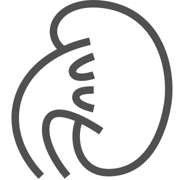 Anatomy, healthcare, human body icon