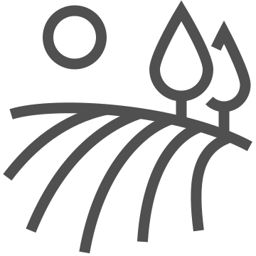 Agriculture, environment, field icon