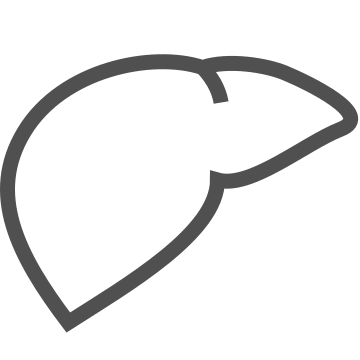 Anatomy, biological, hepatic icon