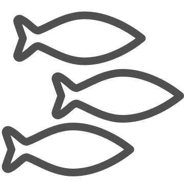 Cuisine, fish, food icon