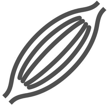Anatomy, biceps, biology icon