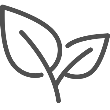 Eco-friendly, green, natural icon
