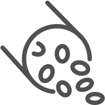 Anatomy, biology, blood cells icon
