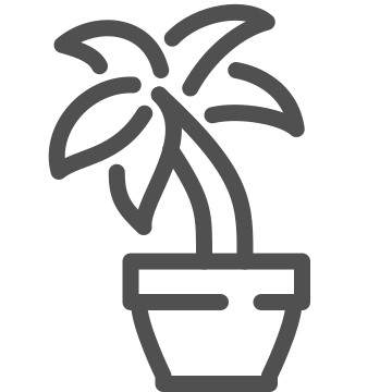 Decoration, interior, nature icon