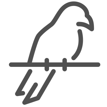 Animal, avian, bird icon