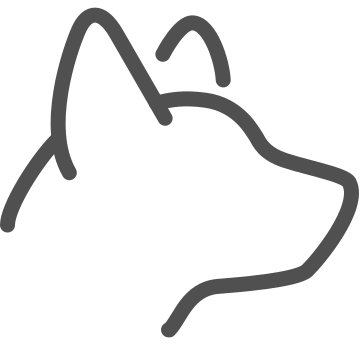 Animal, cat, pet icon