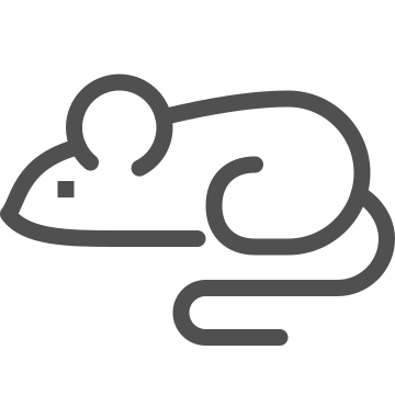 Animal, mouse, pet icon