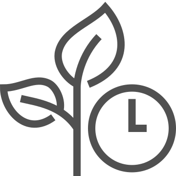 Environment, growth, leaf icon