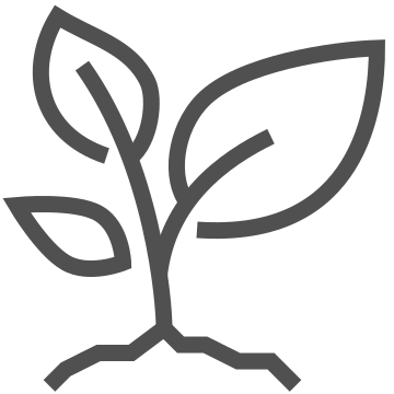 Botany, environment, flora icon