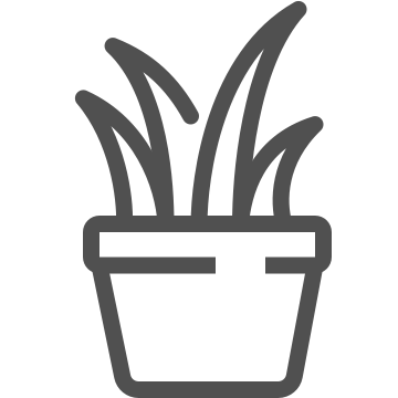 Decoration, flora, houseplant icon