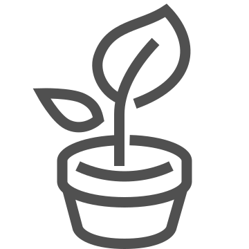 environment, gardening, growth