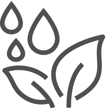 Environment, flora, greenery icon