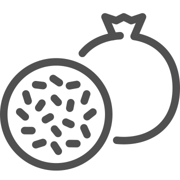 Food, fruit, healthy icon