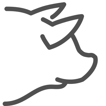 Animal, bbq, butcher icon